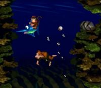 une photo d'Ã©cran de Donkey Kong Country sur Nintendo Super Nes